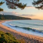 découvrez kauguri à jūrmala, un quartier balnéaire letton emblématique. ce guide complet vous présente les attractions, plages, restaurants et activités incontournables pour un séjour inoubliable au bord de la mer baltique.