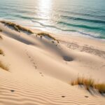découvrez aoreora, un guide essentiel pour explorer les dunes et plages sauvages, parfait pour les amateurs de nature et d'aventure en bord de mer.