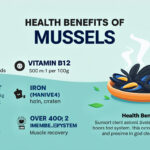 découvrez les bienfaits santé des moules, riches en nutriments essentiels et aux nombreux avantages pour votre bien-être.