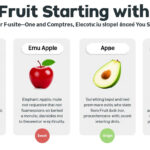 découvrez notre liste complète des fruits commençant par la lettre e et apprenez à les reconnaître avec notre guide détaillé.